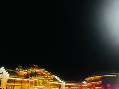 -丁莲芳(红旗路店)