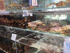 -超级物种(省府店)