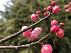 -白塘生态植物园