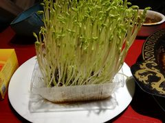 -黄家码头老火锅(解放碑旗舰店)