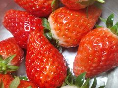 -峪悦里(汉峪金融商务中心店)