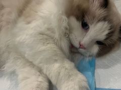-美迦爱-牙专科·兔科·骨科诊疗中心(北苑店)