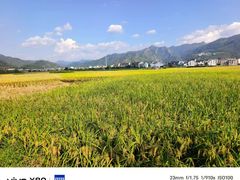 -楠溪江风景名胜区