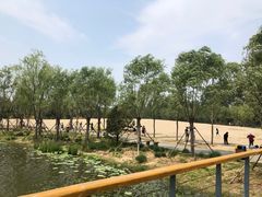 -东郊湿地公园