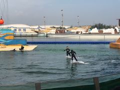 -秦皇岛乐岛海洋王国