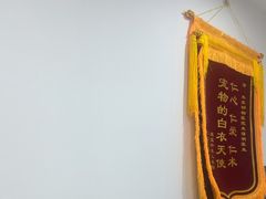 -米苏动物医院·犬猫专科·骨科外科内窥镜