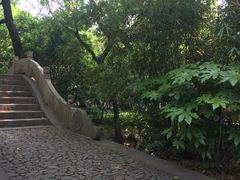 -汇龙潭