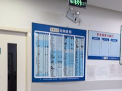 -乖乖宠物医院·猫科·骨科·24小时(云岗分院)