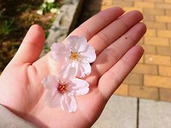 -みかわ是山居