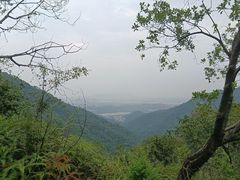 -南海湾森林生态园