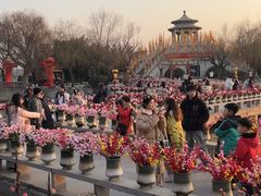 -中国翰园碑林