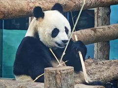 -大连森林动物园