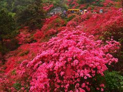 -木兰云雾山