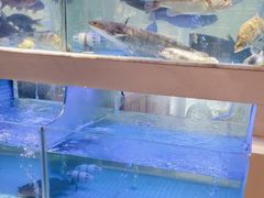 -王捌小院(红花坡店)