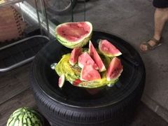 -拳霸泰拳MMA综合格斗搏击馆(浦东馆)