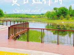 -东郊湿地公园
