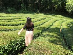 -敬亭山风景名胜区