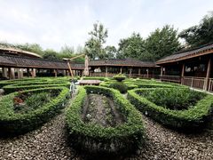 -青城山六善酒店·紫氣園中餐厅