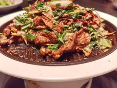 -秀儿四九城·新京菜(亚运村鸟巢店)