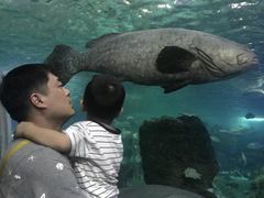 -富国岛珍珠游乐园