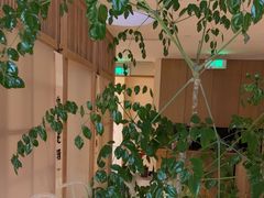 -梅间堂茶馆(绿地缤纷城店)