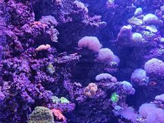 -太平洋海底世界