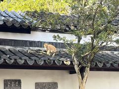-常熟方塔园