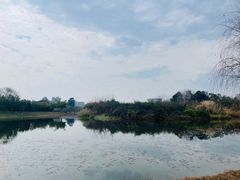 -眉山湿地公园(东坡区)