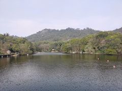 -芙蓉餐厅(厦大店)