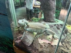 -广州长隆飞鸟乐园