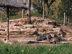 -北京野生动物园