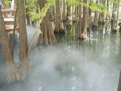 -东湖落雁景区