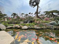 -罗红摄影艺术馆