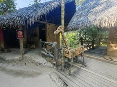 -海南槟榔谷黎苗文化旅游区