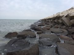 -薛记襄阳香辣牛肉面(平安路店)