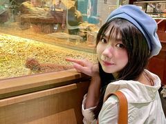 -帕帕拉兹宠物(亚洲旗舰店)