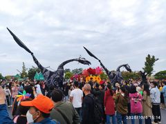-荷兰花海