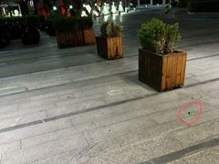 -北京索菲特大酒店
