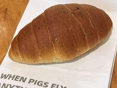 -WHEN PIGS FLY当猪飞