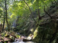 -本溪汤沟绿石谷森林公园