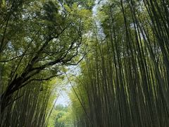 -同里国家湿地公园