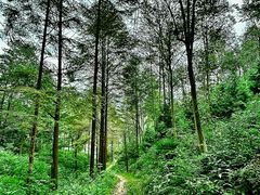 -午潮山国家森林公园