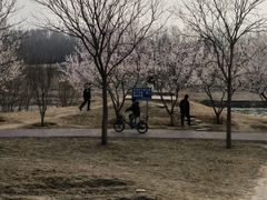 -麦当劳(欧陆广场店)