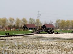 -永定河休闲森林公园