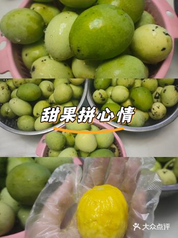 酷似芒果的果名叫扁桃~绿化带果 #扁桃#芒果控必看的