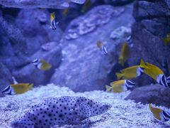 -成都浩海立方海洋公园