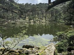 -苍山感通索道
