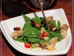 -前海沿·青岛菜(五四广场永旺店)