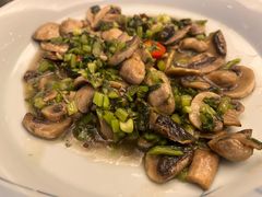 手捏什么菜炒蘑菇-老东吴食府(雅都店)