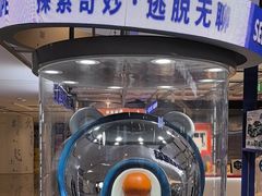 -神盾局密室逃脱(in77店)